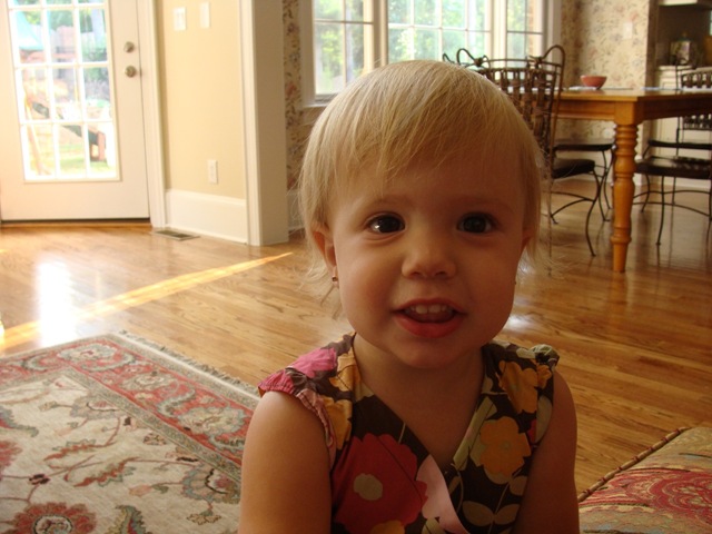[DSC02264[3].jpg]
