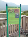 紅樹林 Islands Nature Heritage Trail Ngong Ping to Tai O Section 