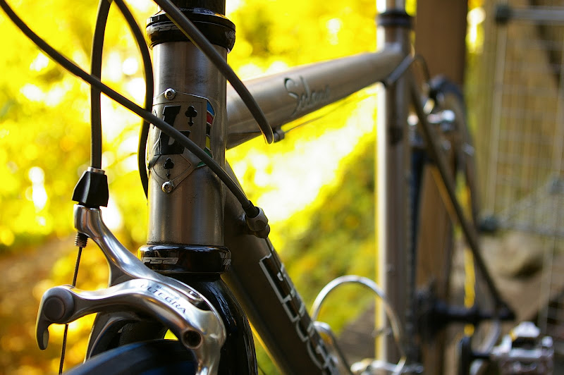 Litespeed Solano head badge