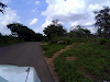 Valle La Pascua Vendo 18 Hectareas A 8 Minutos