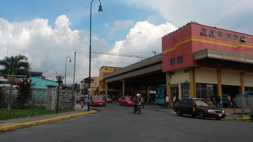 Terminal De Buses A San Carlos
