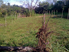Lote San Rafael De Heredia 2