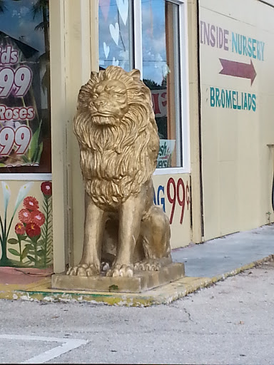 Gold Lion King