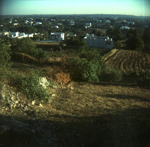 t20080830045418