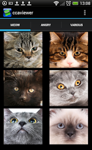 How to get Free Cat Sounds App 1.0 apk for laptop