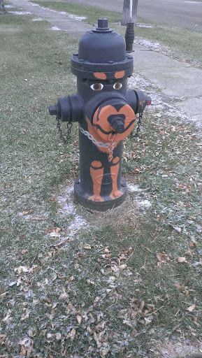 Chocolate lab hydrant