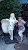 User profile picture thumbnail