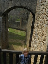 henry bridge