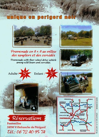 legaulois2