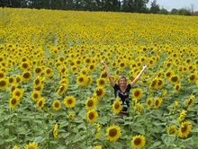 YellowArms