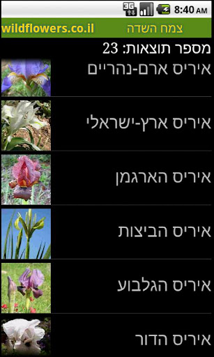 【免費工具App】מגדיר פרחים וצמחי הבר צמח השדה-APP點子