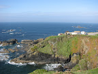 Lizard Point