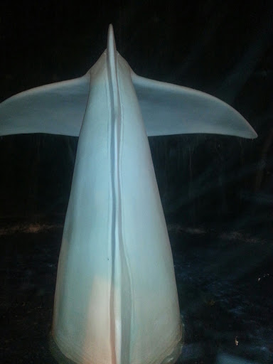 White Whale at the Atlantic Park