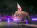 2008 Circus &ndash; 