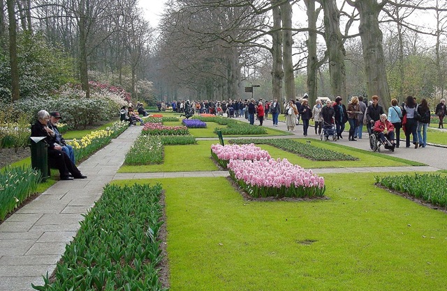 [Keukenhof 04-08 35[3].jpg]