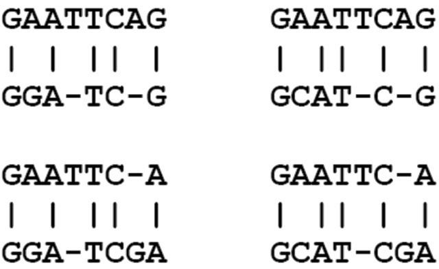 [Gene alignment[5].jpg]