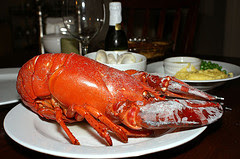 lobster.jpg