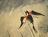 Red-winged Blackbird