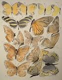 West Coast Butterflies