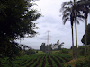 Terreno Hda El Belen