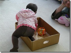 box03