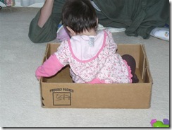 box04