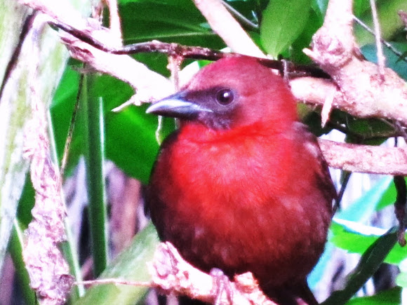 Spotting Image 1