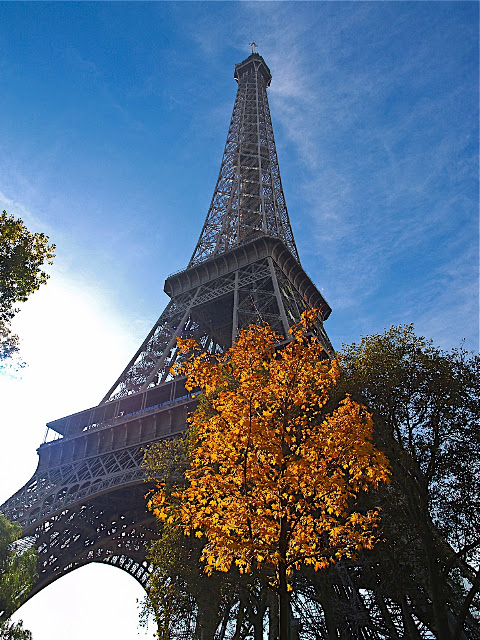 http://lh5.ggpht.com/duane.huguenin/SQDTmbmbQdI/AAAAAAAAHLg/POAuhL4na6g/s640/PA234956_2.jpg