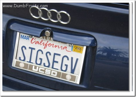 Coders Developers licence plates : sigsegv sig seg