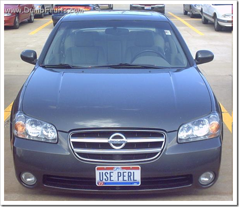 Coders Developers licence plates : use perl