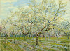 The white orchard