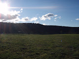 P8130020.JPG