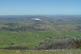 DSC07227.JPG
