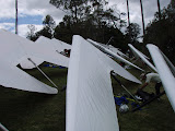 PA190170.JPG