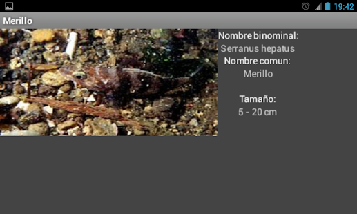 How to download Fish of the sea and fishing patch 2.0 apk for android