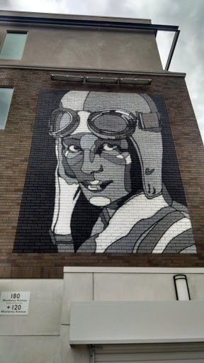 Amelia Earhart Wall Mural