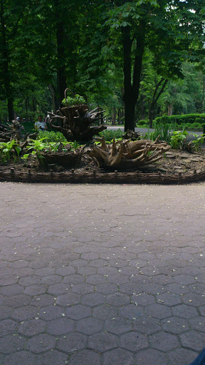 Wood Garden