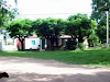Casa Y Galpon En Partido De Saladillopueblo Polv