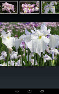 How to mod Village of Iris in Isehara lastet apk for laptop