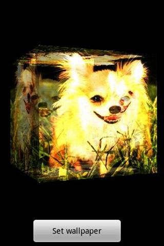 3D cute dog A-8