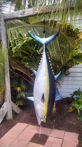 Big Tuna