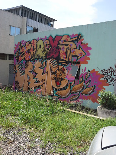 Grafite Cabeça de Tigre