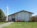 Church of The Latter Day Saints