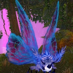 47661.jpg