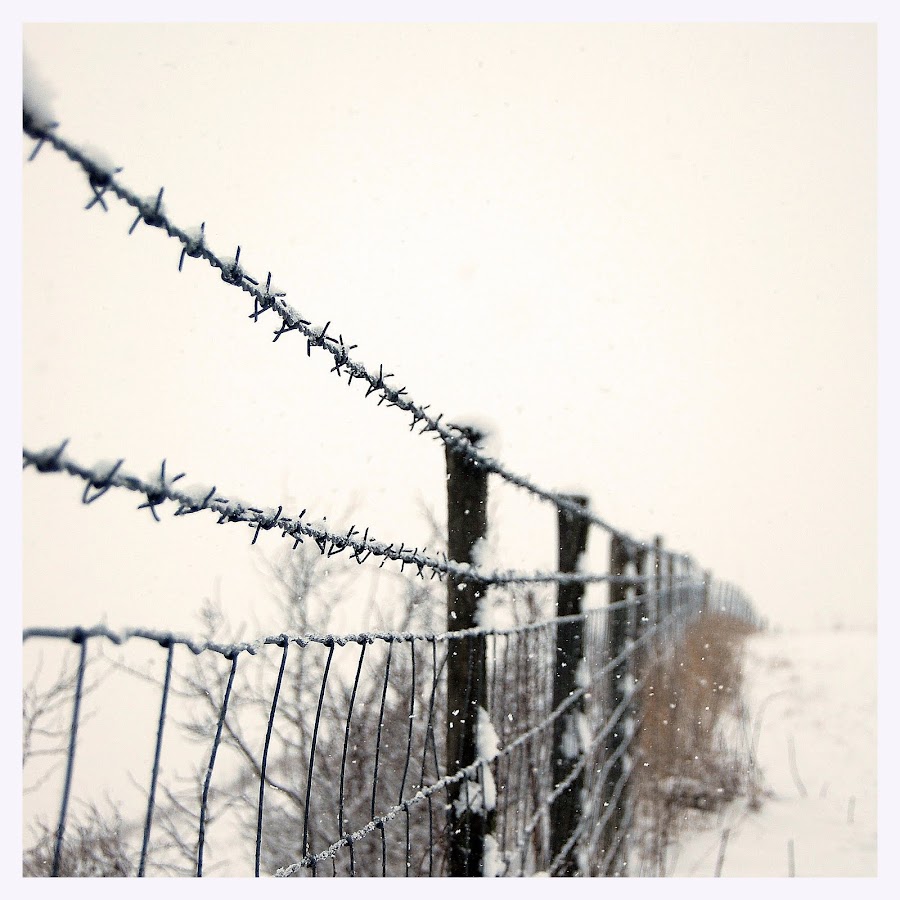 by Fleur Alston - Landscapes Weather