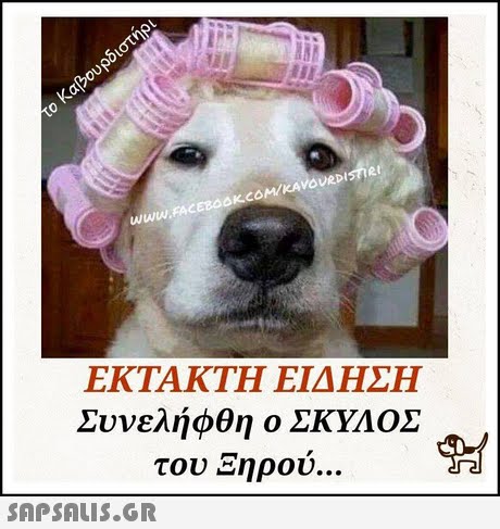 0 www.FACEBOOKCOM/KAVOURDIsier ΕΚΤΑΚΤΗ ΕΙΔΗΣΗ Συνελήφθη ο ΣΚΥΛΟΣ του Ξηρού 