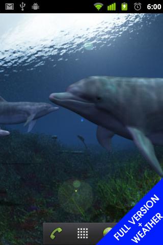 免費下載生活APP|dolphin clock weather widget app開箱文|APP開箱王