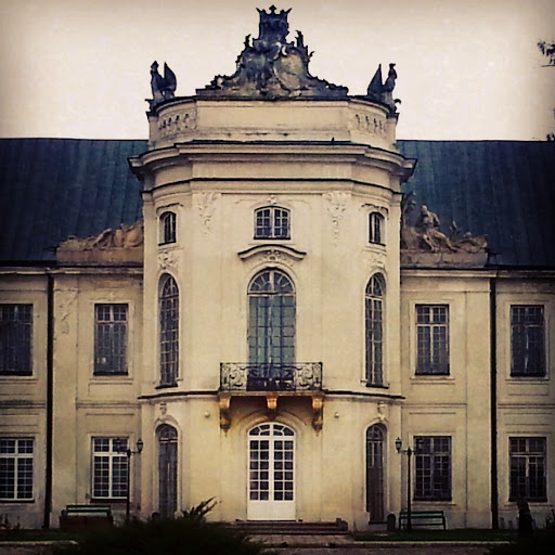 Palace in Radzyn 