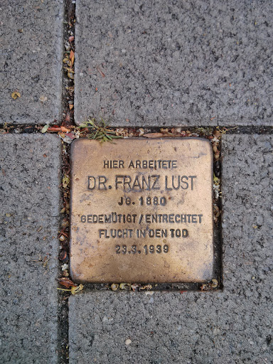 Dr. Franz Lust Stolperstein
