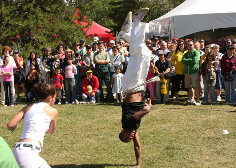 Capoeira Martial Arts from Brazil (My favorite picture of the day)